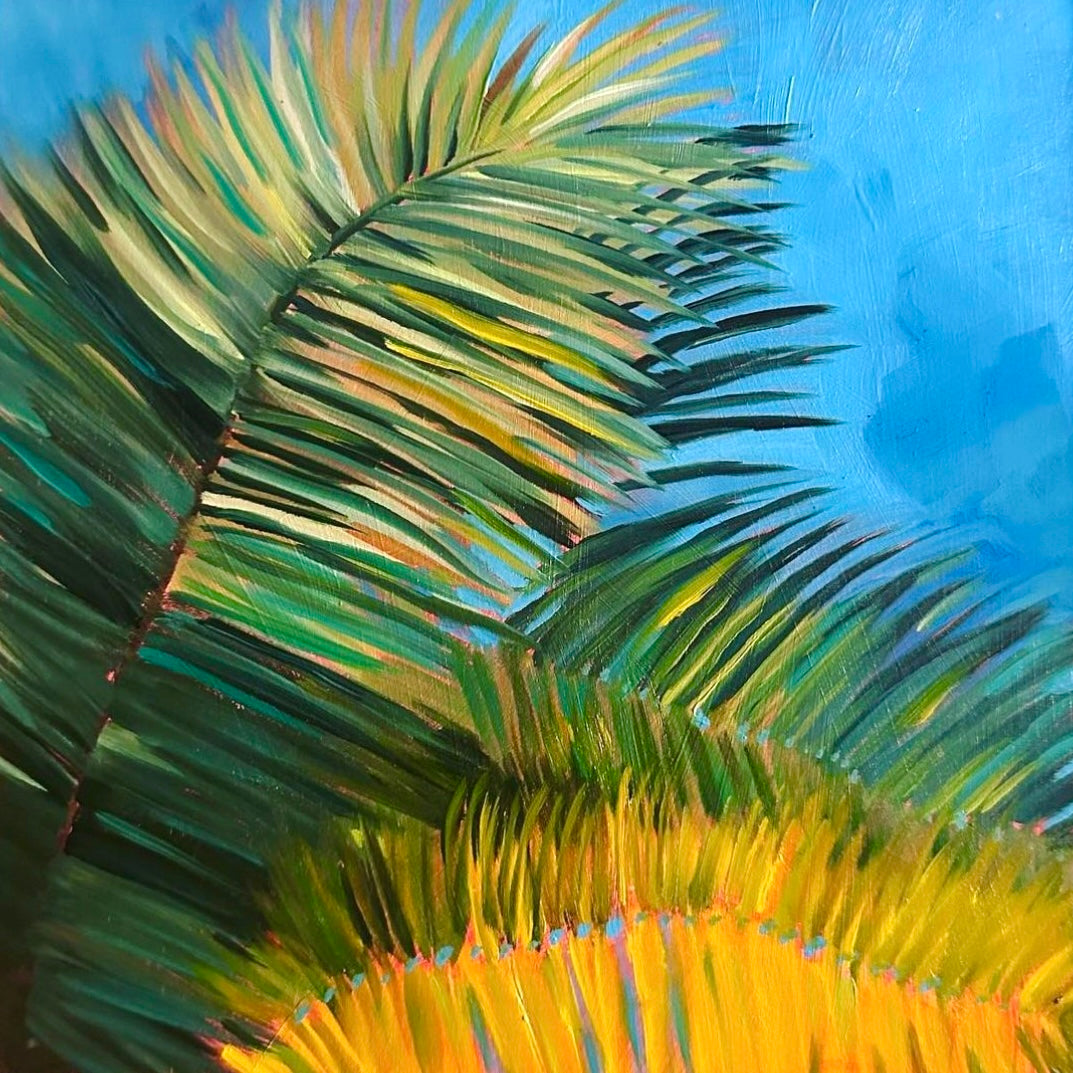 Palm Beach Palm
