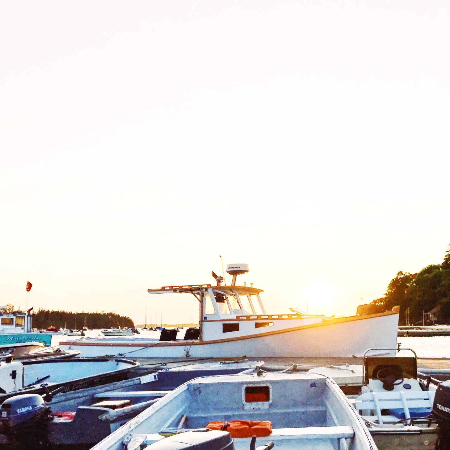 Lobster Sunrise