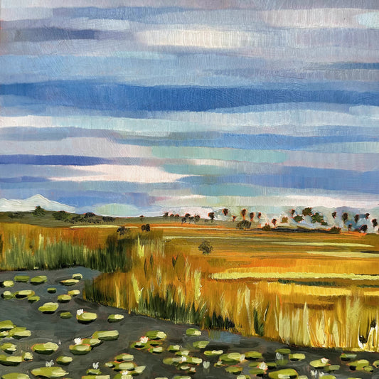 Everglades Lily Pads