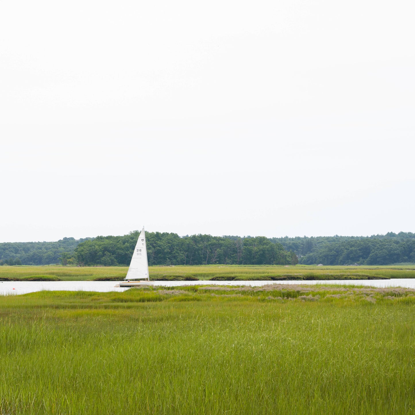 Low-Country Sailor