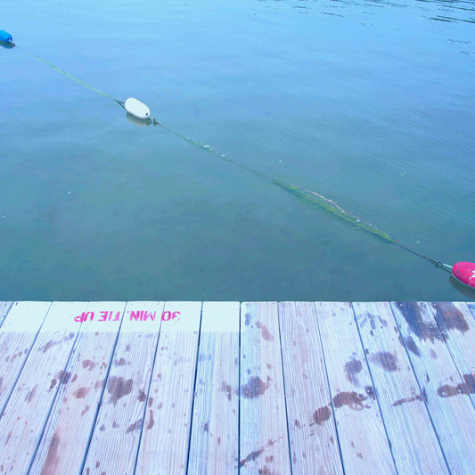 Red, White, and Blue