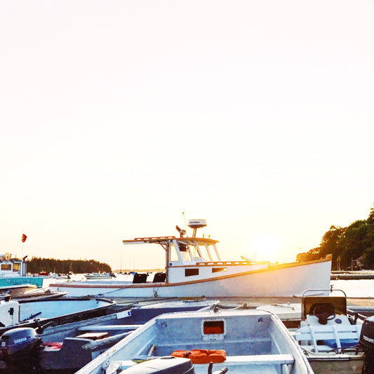 Lobster Sunrise