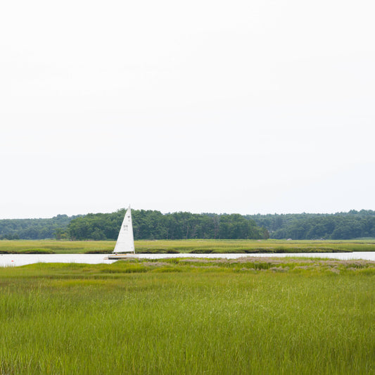 Low-Country Sailor